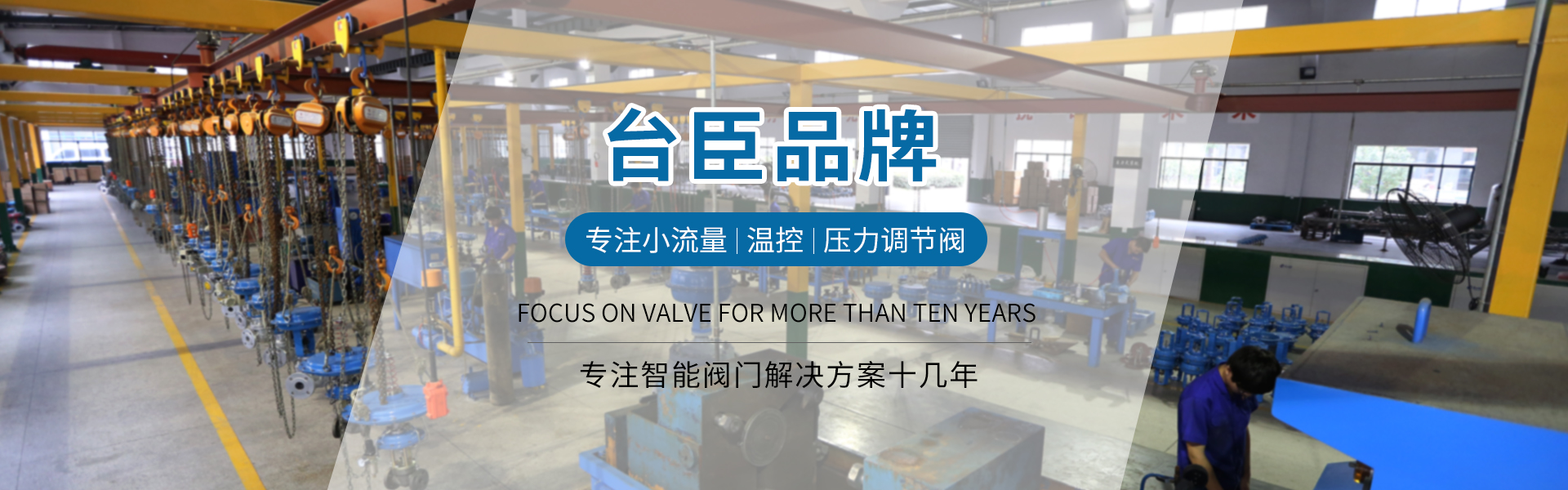 臺臣閥門-免費(fèi)拿樣、提供方案、3年質(zhì)保